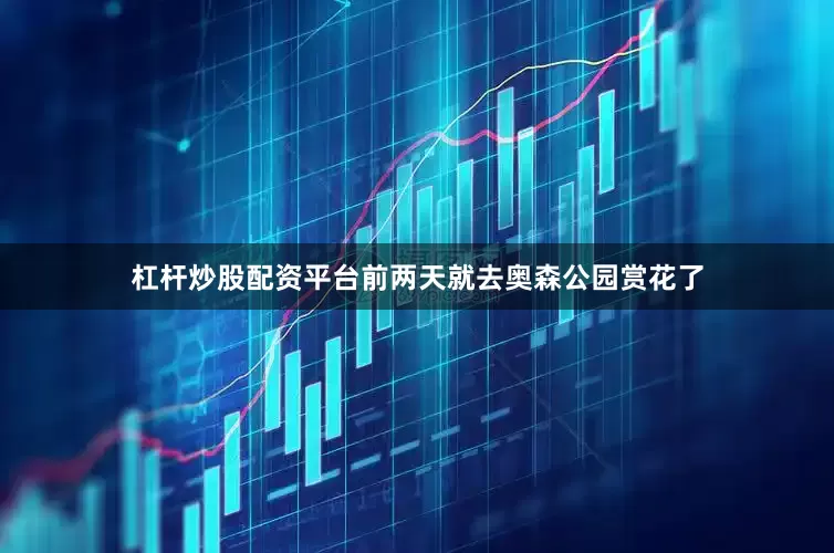 杠杆炒股配资平台前两天就去奥森公园赏花了