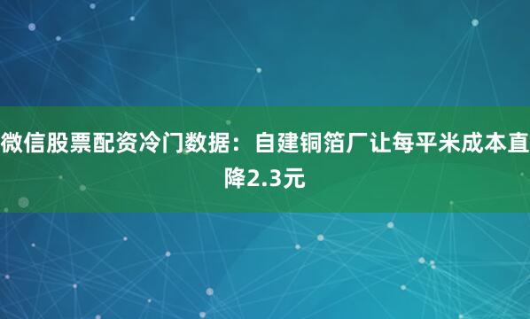 微信股票配资冷门数据：自建铜箔厂让每平米成本直降2.3元