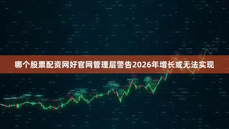 哪个股票配资网好官网管理层警告2026年增长或无法实现