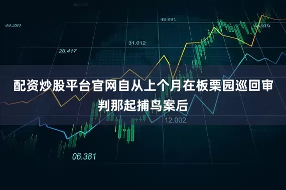 配资炒股平台官网自从上个月在板栗园巡回审判那起捕鸟案后